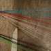Un recente intervento dei Guerrilla Knitting